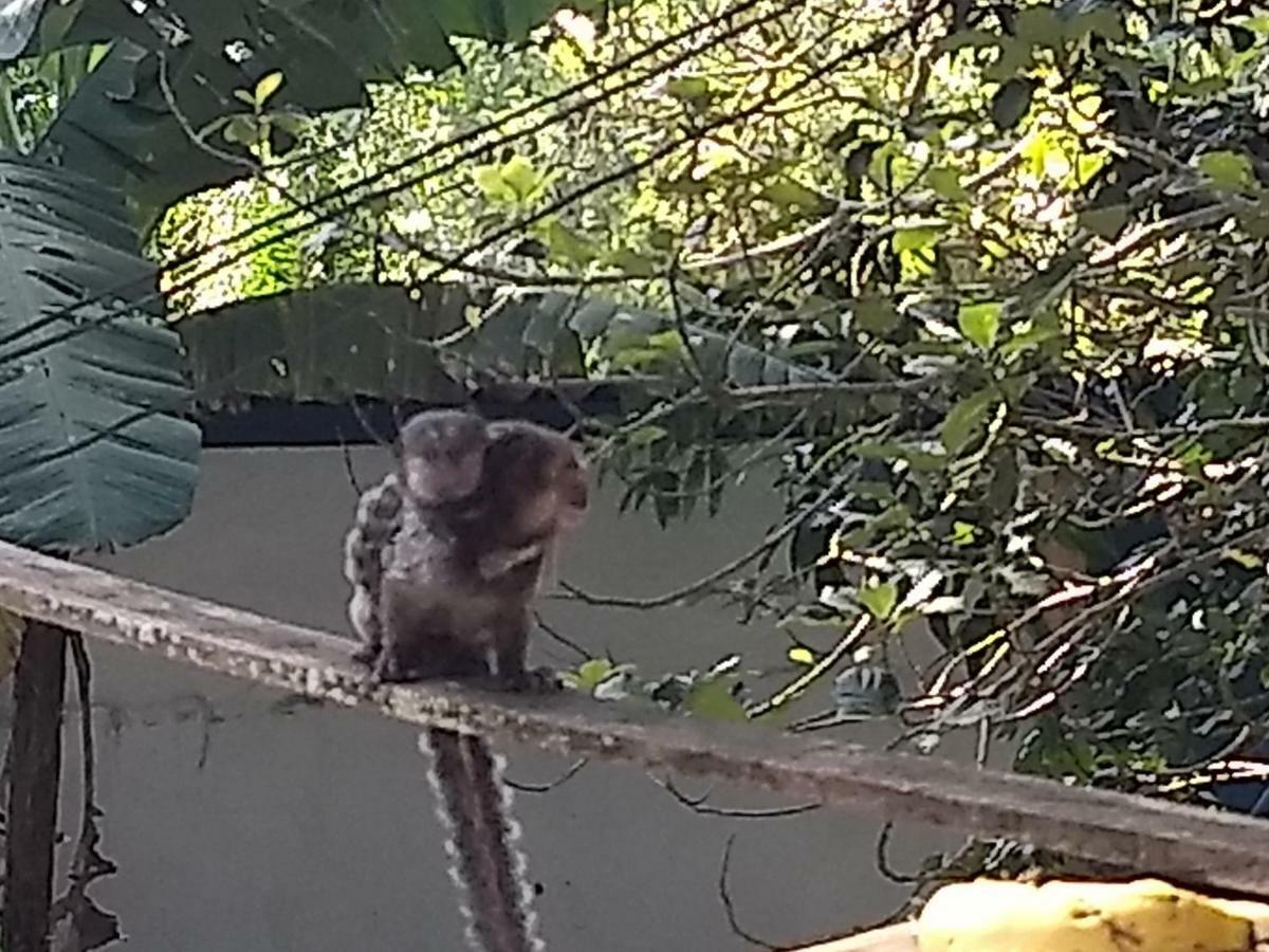 Chale Chacara Cantinho Do Mozao Holiday home